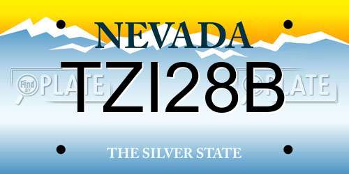 TZI28B Nevada License Plate