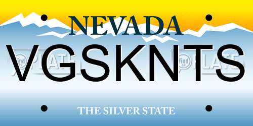 VGSKNTS Nevada License Plate