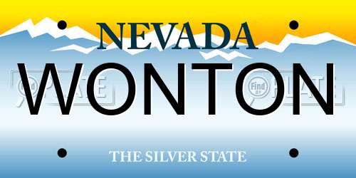 WONTON Nevada License Plate