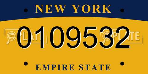 0109532 New York License Plate