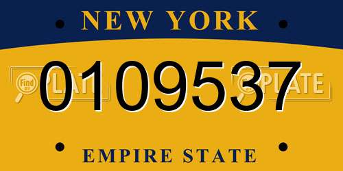 0109537 New York License Plate