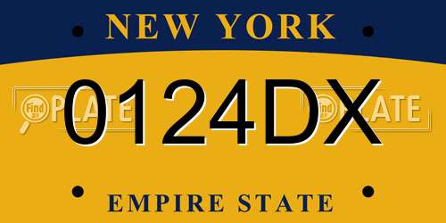 0124DX New York License Plate