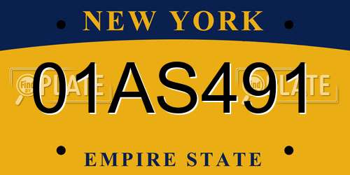 01AS491 New York License Plate