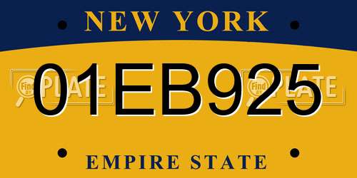 01EB925 New York License Plate