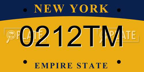 0212TM New York License Plate
