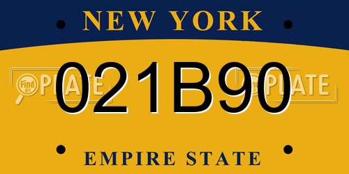 021B90 New York License Plate