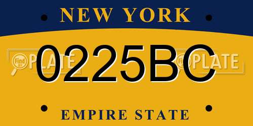 0225BC New York License Plate