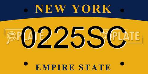 0225SC New York License Plate