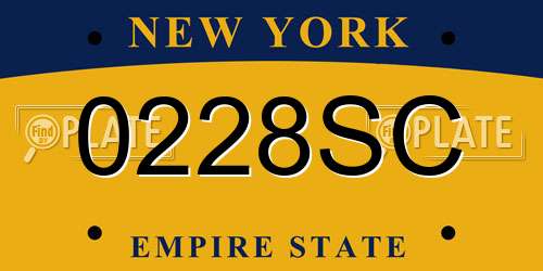 0228SC New York License Plate