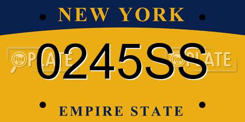 0245SS New York License Plate