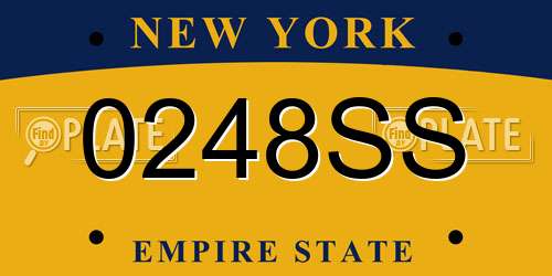 0248SS New York License Plate