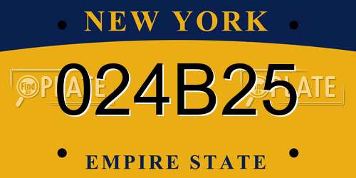 024B25 New York License Plate
