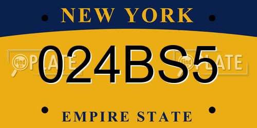 024BS5 New York License Plate