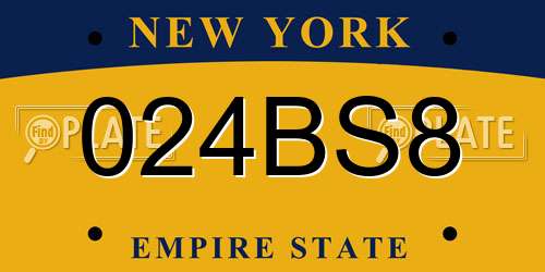 024BS8 New York License Plate