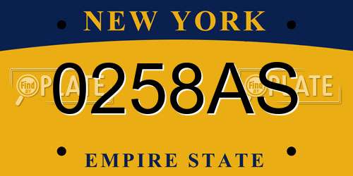 0258AS New York License Plate
