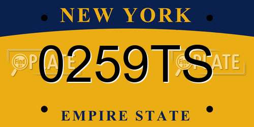 0259TS New York License Plate
