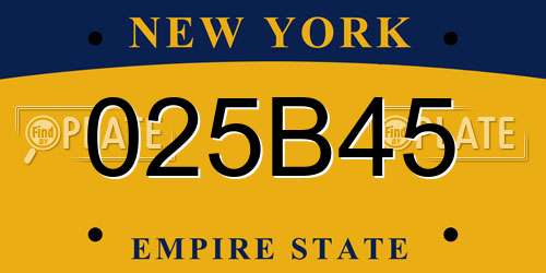 025B45 New York License Plate