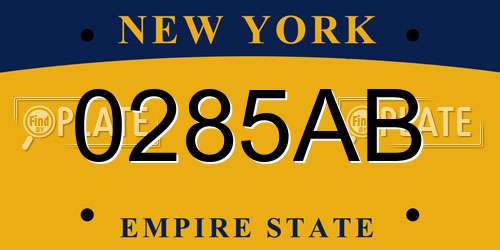 0285AB New York License Plate