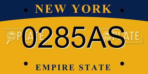 0285AS New York License Plate