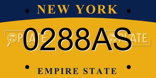0288AS New York License Plate