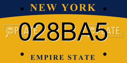 028BA5 New York License Plate