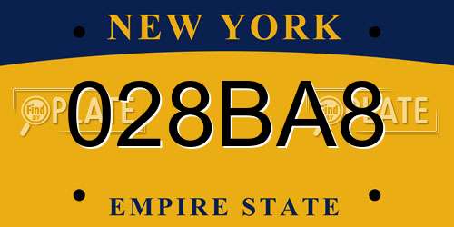 028BA8 New York License Plate