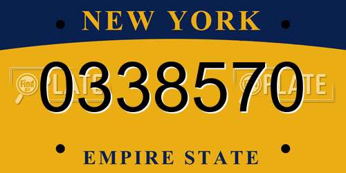0338570 New York License Plate