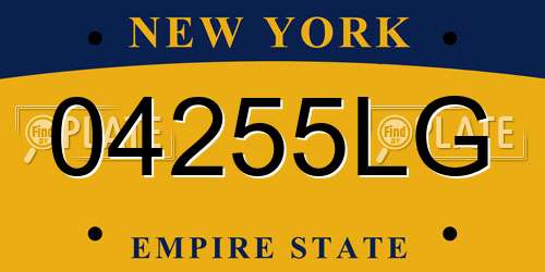 04255LG New York License Plate