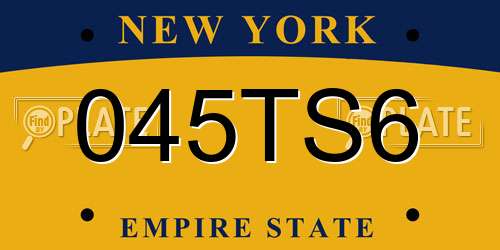 045TS6 New York License Plate