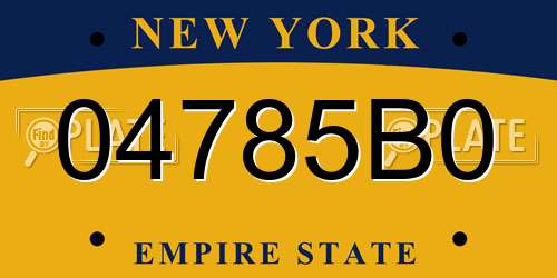 04785B0 New York License Plate