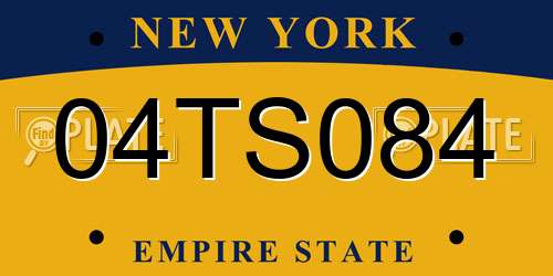 04TS084 New York License Plate
