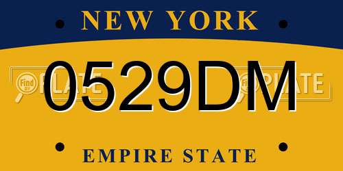 0529DM New York License Plate