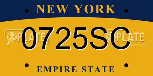 0725SC New York License Plate