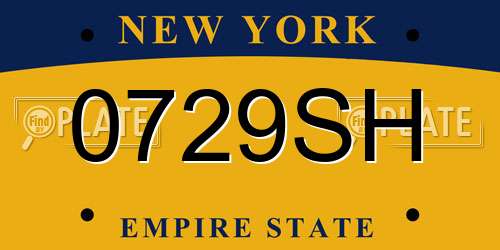 0729SH New York License Plate