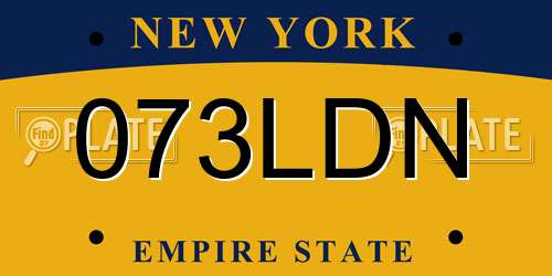 073LDN New York License Plate