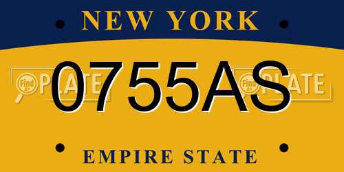 0755AS New York License Plate