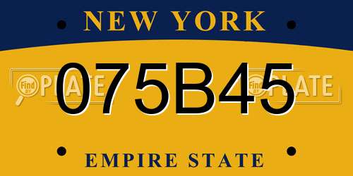 075B45 New York License Plate