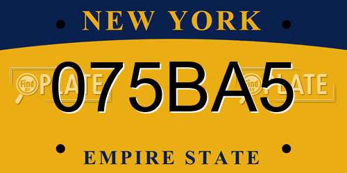 075BA5 New York License Plate