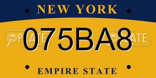 075BA8 New York License Plate