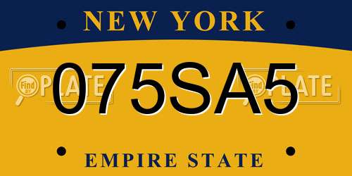 075SA5 New York License Plate