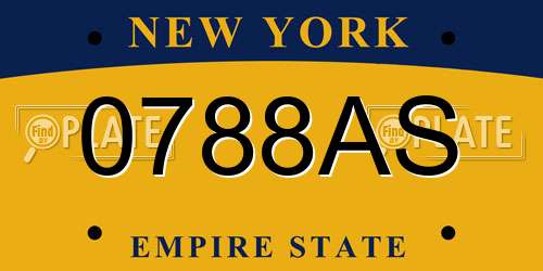 0788AS New York License Plate
