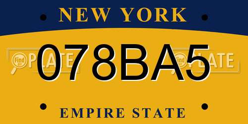 078BA5 New York License Plate