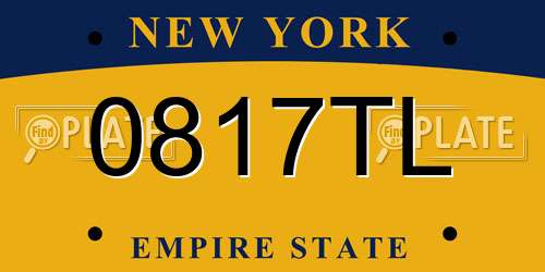 0817TL New York License Plate