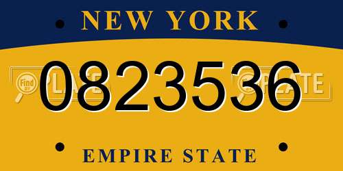 0823536 New York License Plate