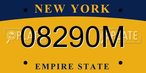 08290M New York License Plate