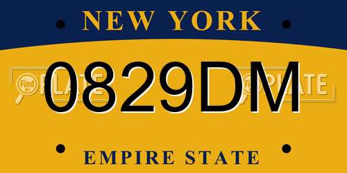 0829DM New York License Plate