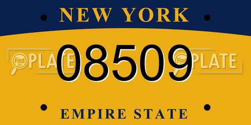 08509 New York License Plate