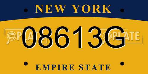 08613G New York License Plate