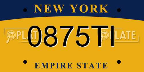 0875TI New York License Plate