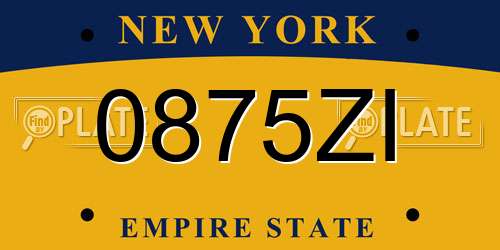 0875ZI New York License Plate